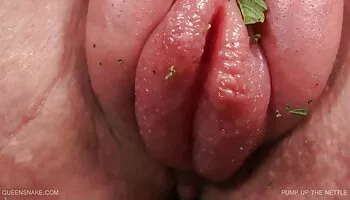 Seductora pelirroja comiendo cada centímetro del coño de su novia