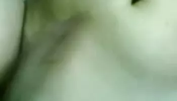 Maestro