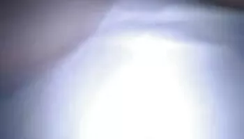 Gran Polla Coño Prieto